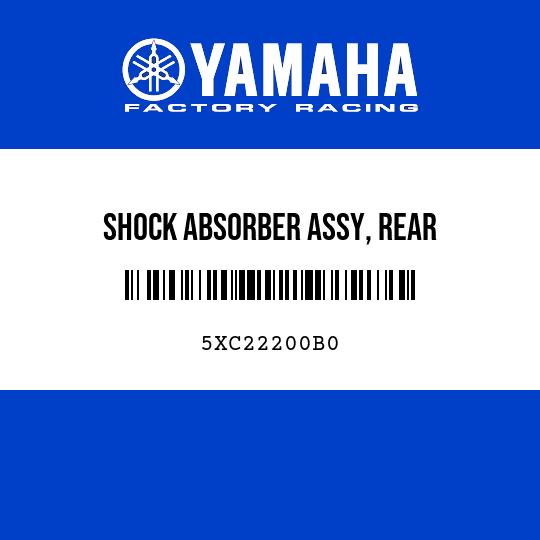 SHOCK ABSORBER ASSY, REAR
