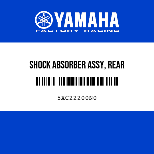 SHOCK ABSORBER ASSY, REAR