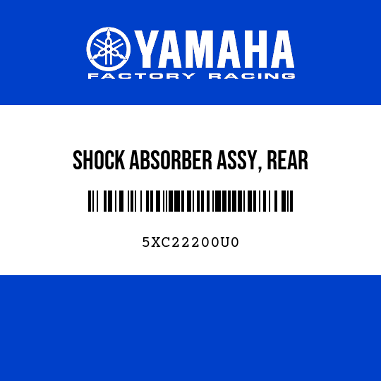 SHOCK ABSORBER ASSY, REAR