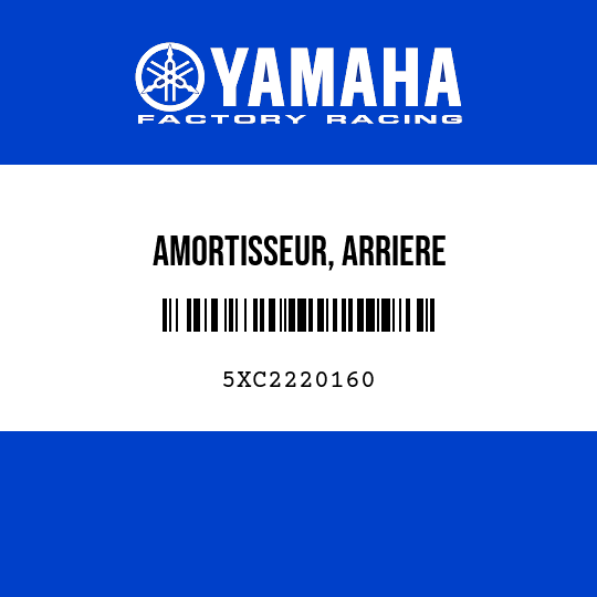 AMORTISSEUR, ARRIERE