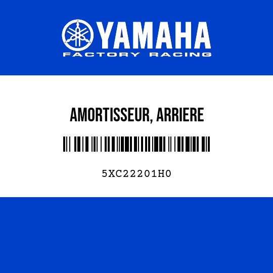 AMORTISSEUR, ARRIERE