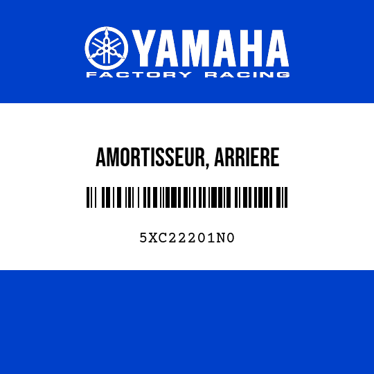 AMORTISSEUR, ARRIERE