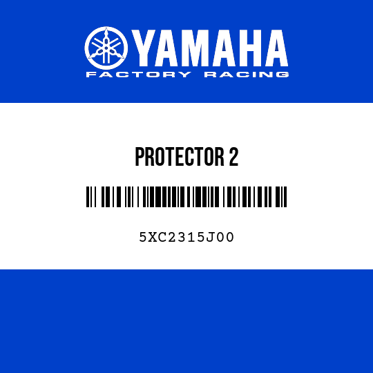 PROTECTOR 2
