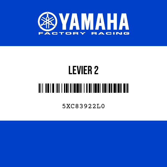 LEVIER 2