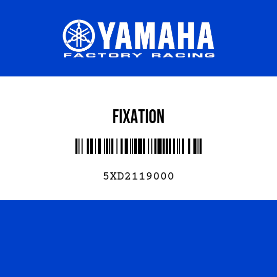 FIXATION