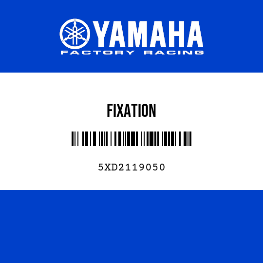 FIXATION