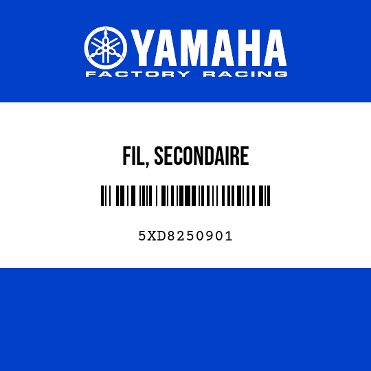 FIL, SECONDAIRE