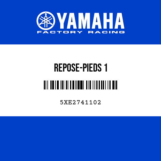 REPOSE-PIEDS 1