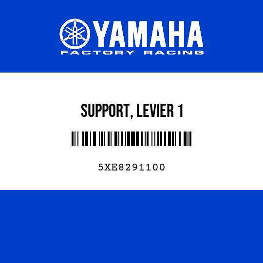 SUPPORT, LEVIER 1