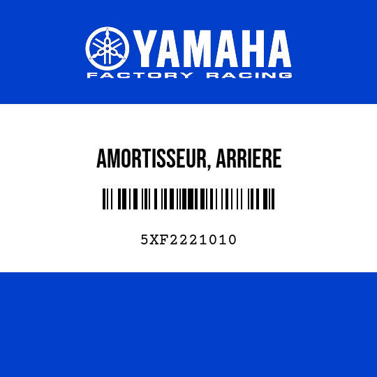 AMORTISSEUR, ARRIERE
