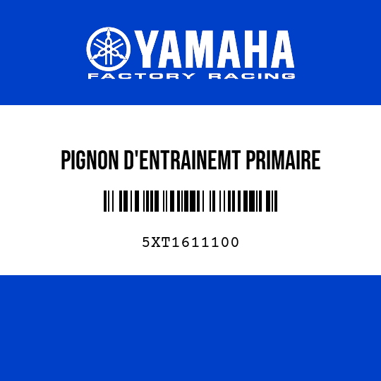 PIGNON D'ENTRAINEMT PRIMAIRE