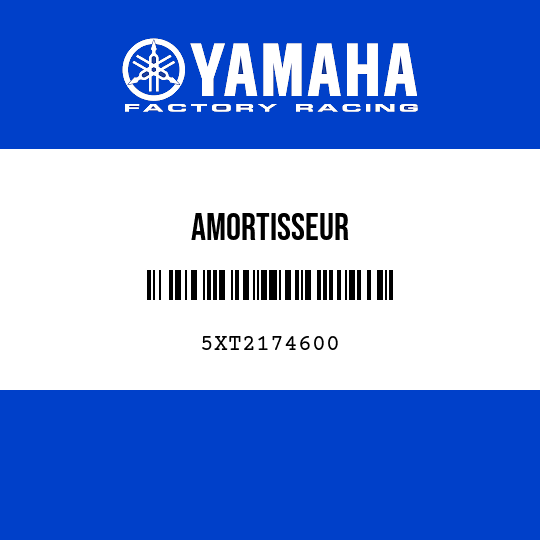 AMORTISSEUR