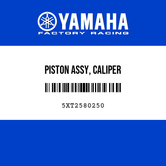 PISTON ASSY, CALIPER