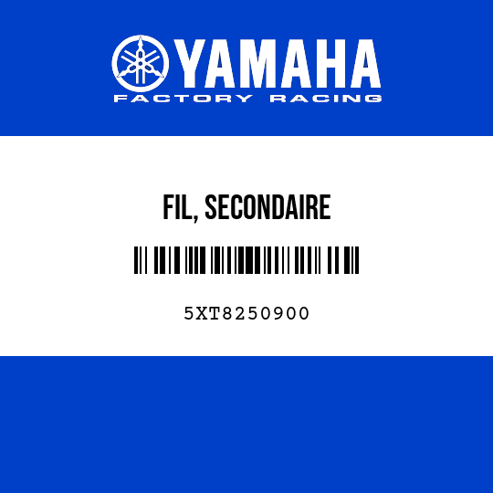 FIL, SECONDAIRE