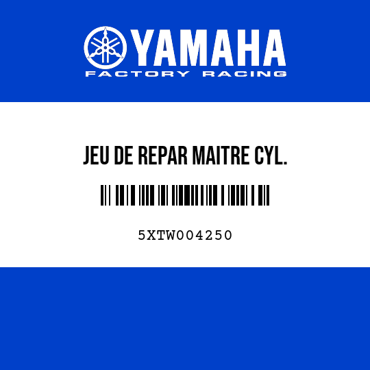JEU DE REPAR MAITRE CYL.