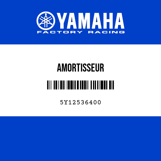 AMORTISSEUR