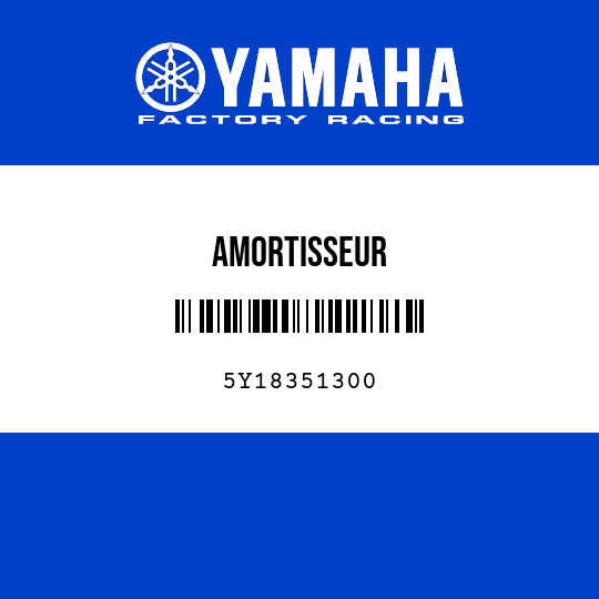AMORTISSEUR