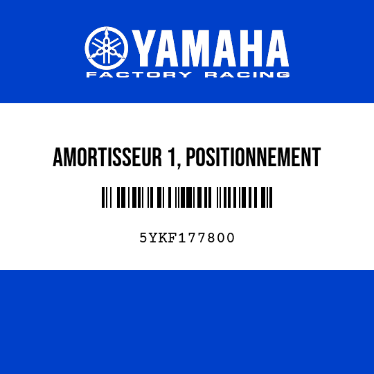 AMORTISSEUR 1, POSITIONNEMENT