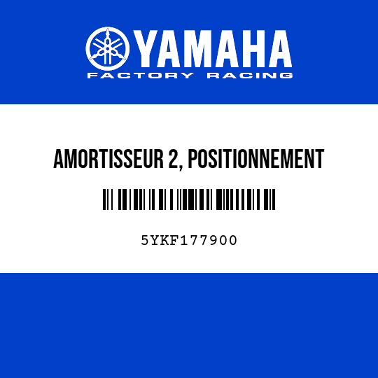 AMORTISSEUR 2, POSITIONNEMENT