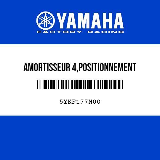 AMORTISSEUR 4,POSITIONNEMENT