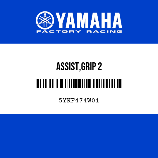 ASSIST,GRIP 2