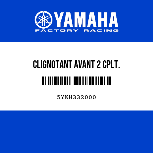 CLIGNOTANT AVANT 2 CPLT.