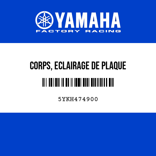 CORPS, ECLAIRAGE DE PLAQUE