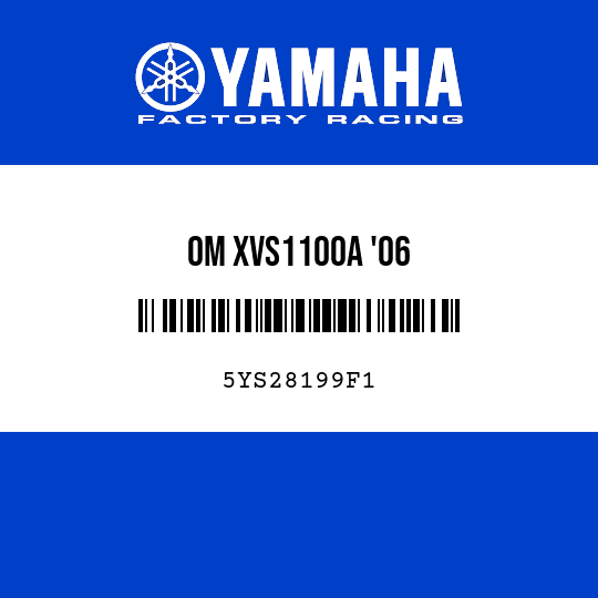 OM XVS1100A '06