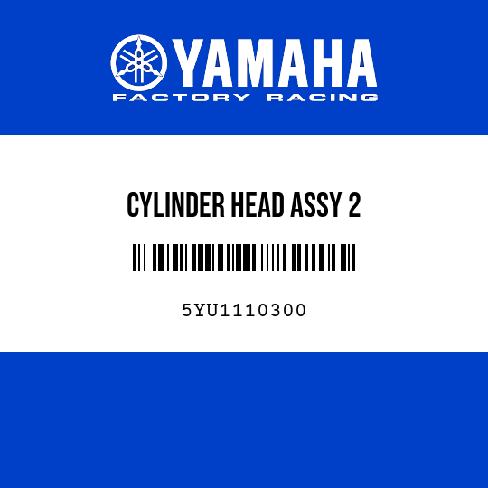 CYLINDER HEAD ASSY 2