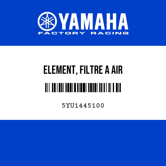 ELEMENT, FILTRE A AIR