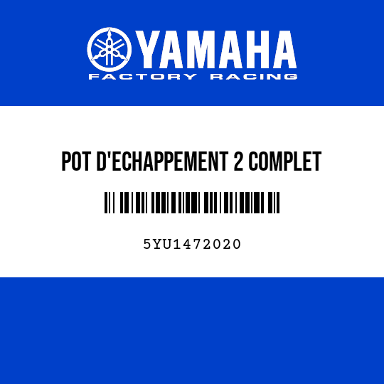 POT D'ECHAPPEMENT 2 COMPLET