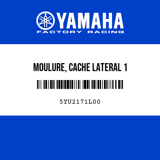 MOULURE, CACHE LATERAL 1