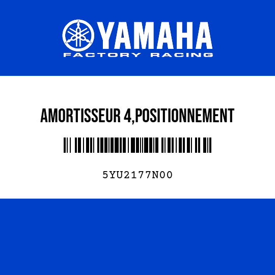 AMORTISSEUR 4,POSITIONNEMENT
