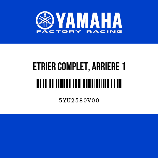 ETRIER COMPLET, ARRIERE 1