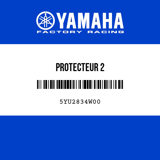 PROTECTEUR 2