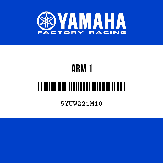 ARM 1