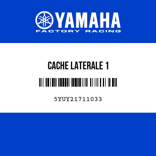 CACHE LATERALE 1