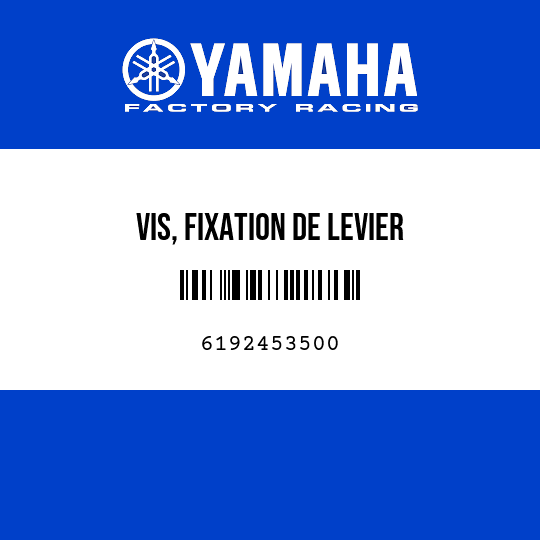 VIS, FIXATION DE LEVIER