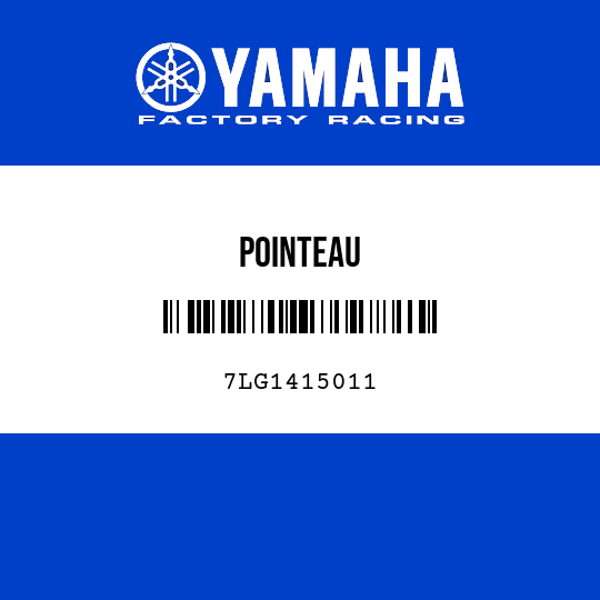 POINTEAU