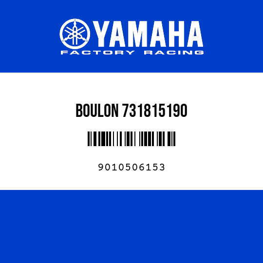 BOULON 731815190