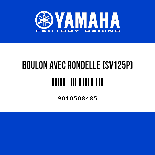 BOULON AVEC RONDELLE (SV125P)