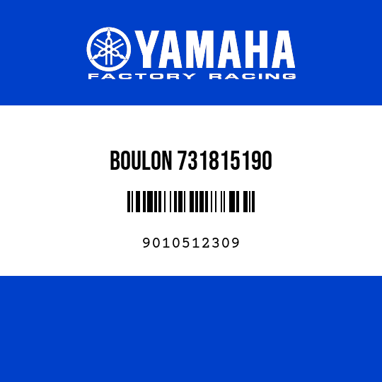 BOULON 731815190