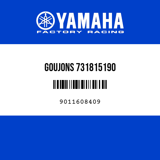 GOUJONS 731815190