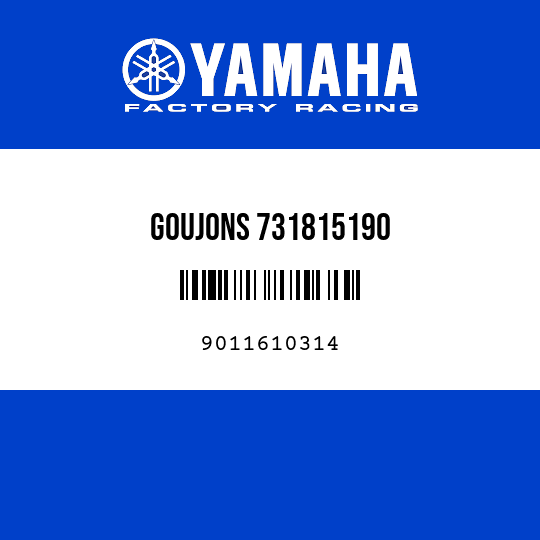 GOUJONS 731815190