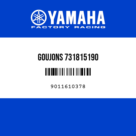 GOUJONS 731815190