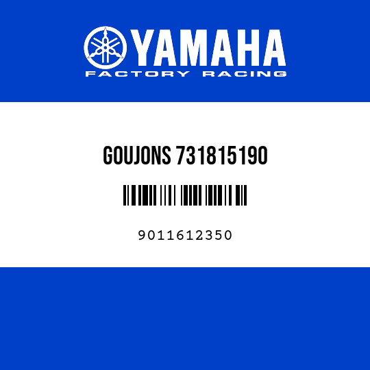 GOUJONS 731815190