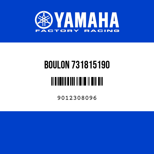 BOULON 731815190