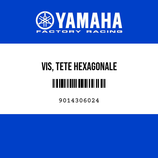VIS, TETE HEXAGONALE