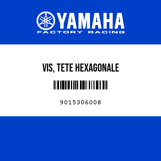 VIS, TETE HEXAGONALE