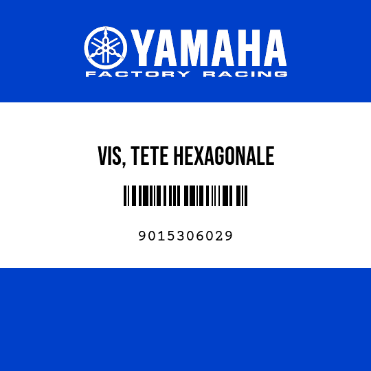 VIS, TETE HEXAGONALE